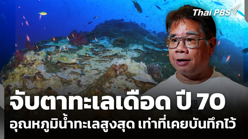 จับตาทะเลเดือด ปี 70 อุณหภูมิน้ำทะเลสูงสุด เท่าที่เคยบันทึกไว้