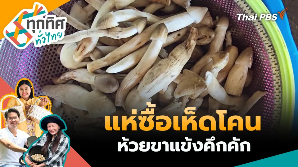 ทุกทิศทั่วไทย