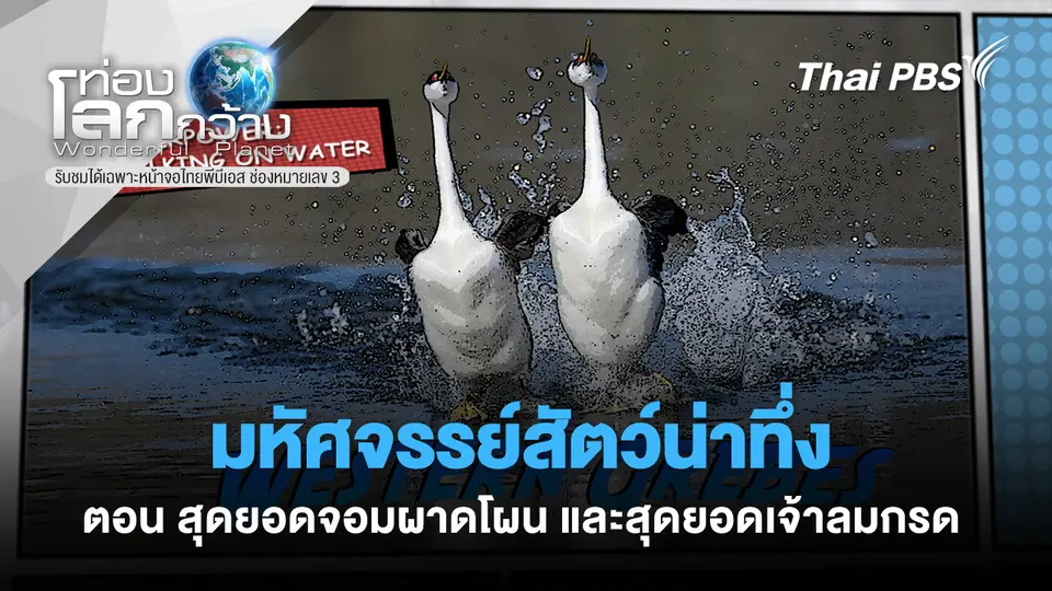 ท่องโลกกว้าง