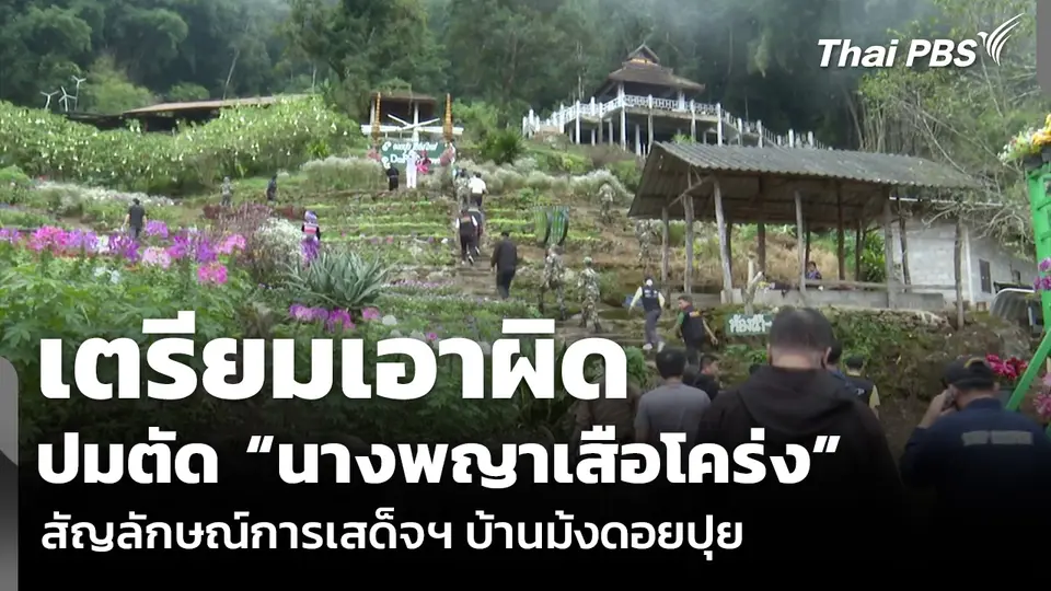 เตรียมเอาผิด ปมตัด “นางพญาเสือโคร่ง” สัญลักษณ์การเสด็จฯ บ้านม้งดอยปุย