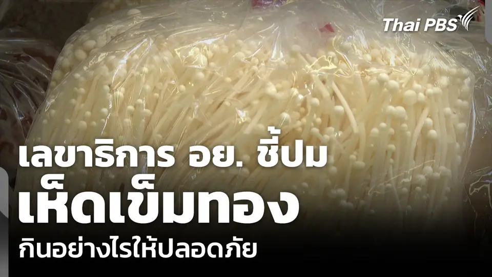 เลขาธิการ อย. ชี้ปม เห็ดเข็มทอง กินอย่างไรให้ปลอดภัย