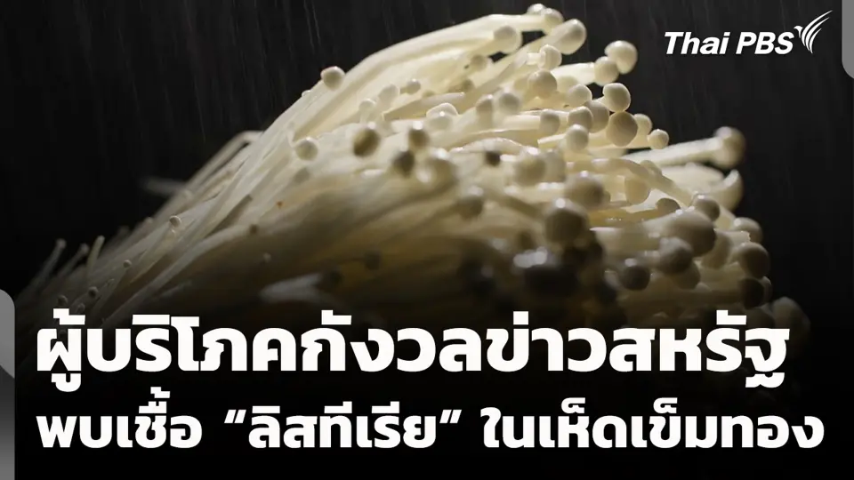 ผู้บริโภคกังวลข่าวสหรัฐพบเชื้อ “ลิสทีเรีย” ในเห็ดเข็มทอง