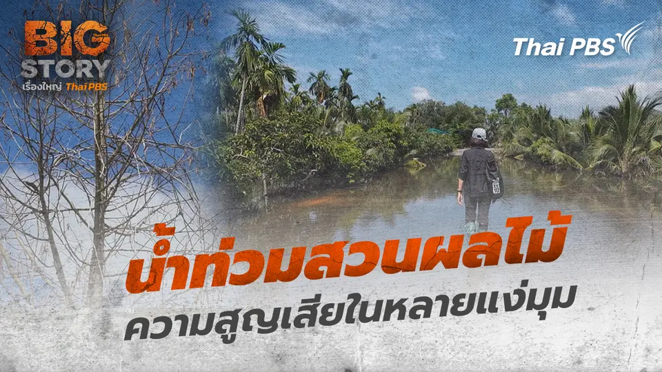 Big Story เรื่องใหญ่ Thai PBS