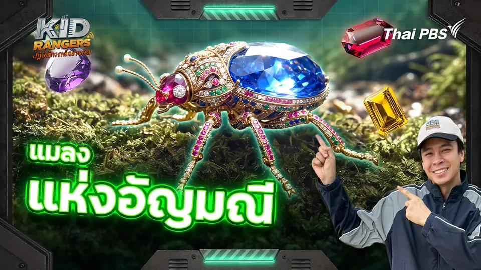 แมลงแห่งอัญมณี 