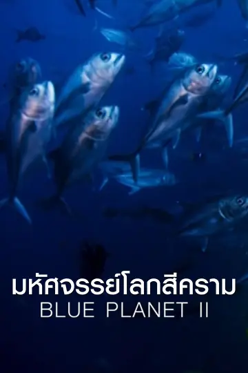 cover-image