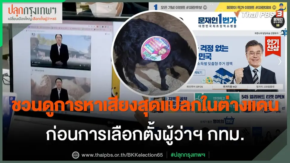 ชวนดูการหาเสียงสุดแปลกในต่างแดน ก่อนการเลือกตั้งผู้ว่าฯ กทม.