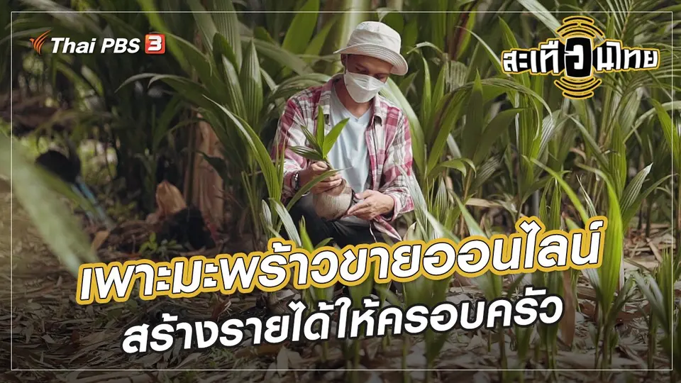 ​นักสร้างความเปลี่ยนแปลง : เพาะมะพร้าวขายออนไลน์ สร้างรายได้ให้ครอบครัว