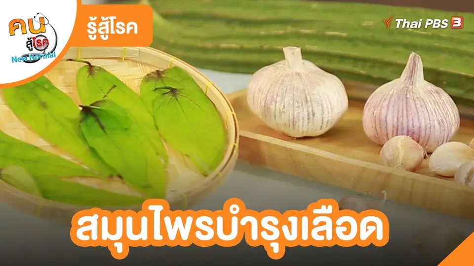 ​รู้สู้โรค : สมุนไพรบำรุงเลือด