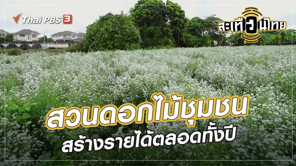 นักสร้างความเปลี่ยนแปลง : สวนดอกไม้ชุมชน สร้างรายได้ตลอดทั้งปี