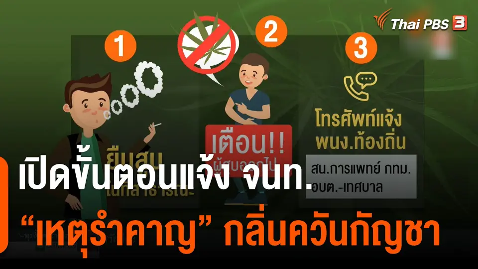 เปิดขั้นตอนแจ้ง จนท. "เหตุรำคาญ" กลิ่นควันกัญชา