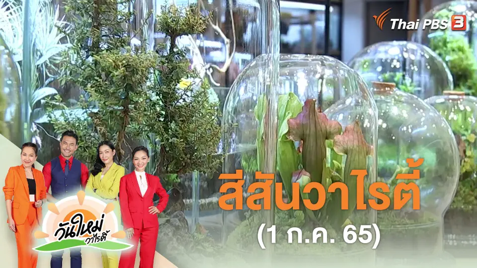 สีสันวาไรตี้ (1 ก.ค. 65)
