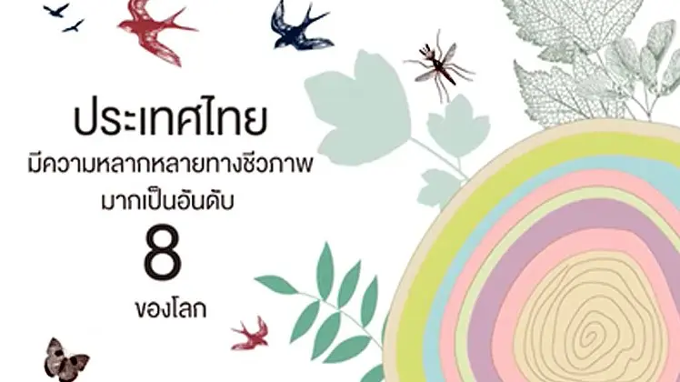 19 ก.ค. 58