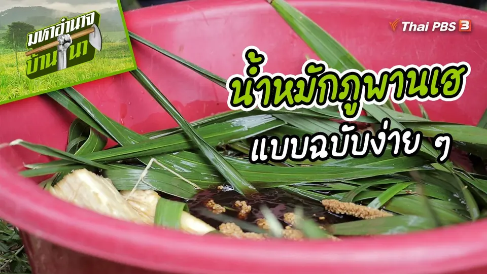สูตรลับฉบับบ้านนา : น้ำหมักภูพานเฮ