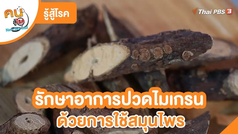 รู้สู้โรค : รักษาอาการปวดไมเกรนด้วยการใช้สมุนไพร