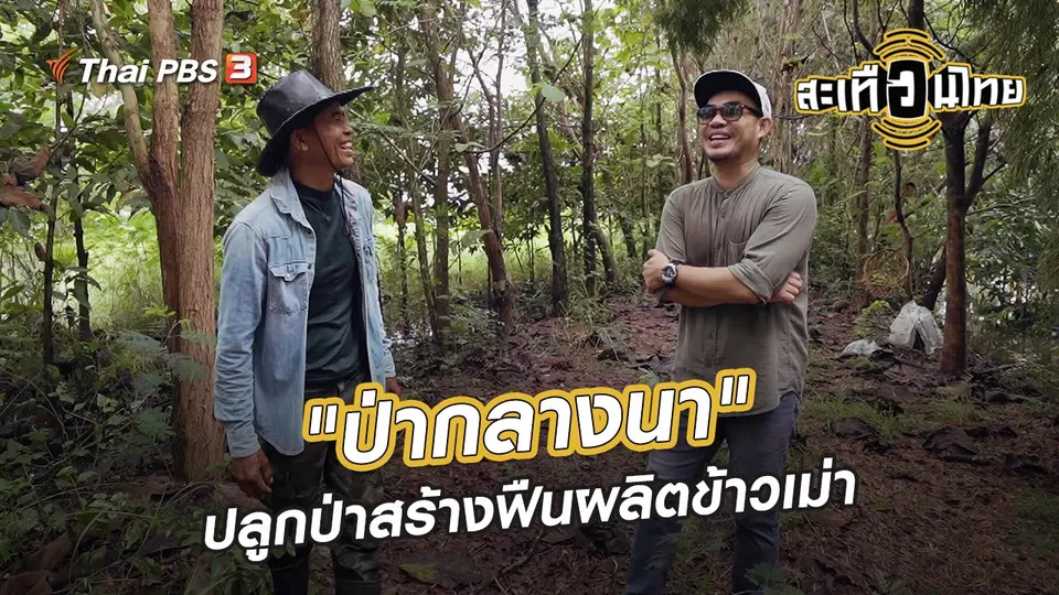 ​นักสร้างความเปลี่ยนแปลง : "ป่ากลางนา" ปลูกป่าสร้างฟืนผลิตข้าวเม่า