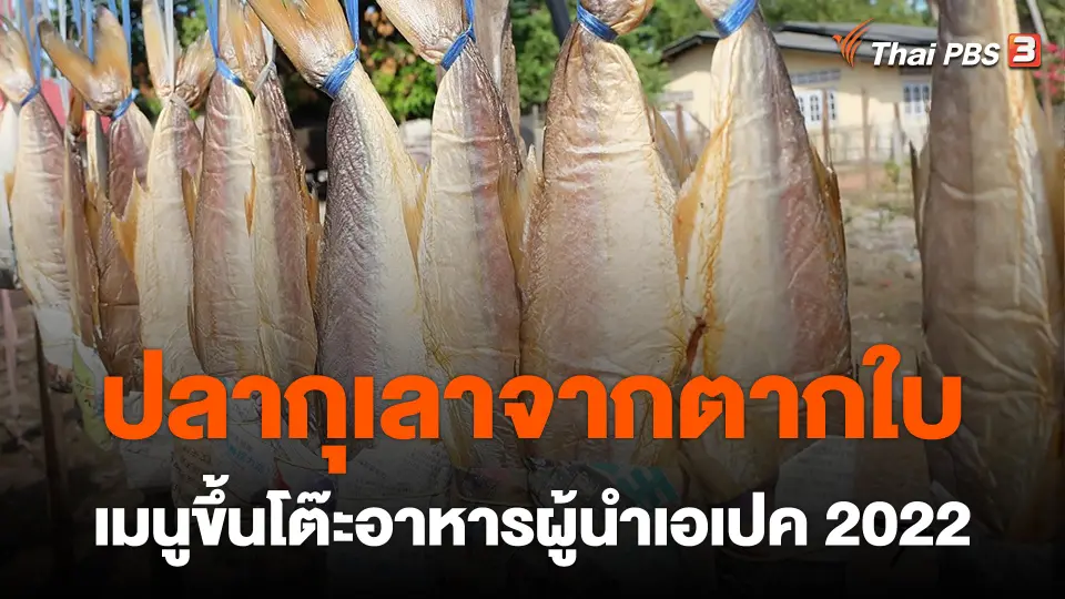 ​“ปลากุเลาจากตากใบ” เมนูขึ้นโต๊ะอาหารผู้นำเอเปค 2022