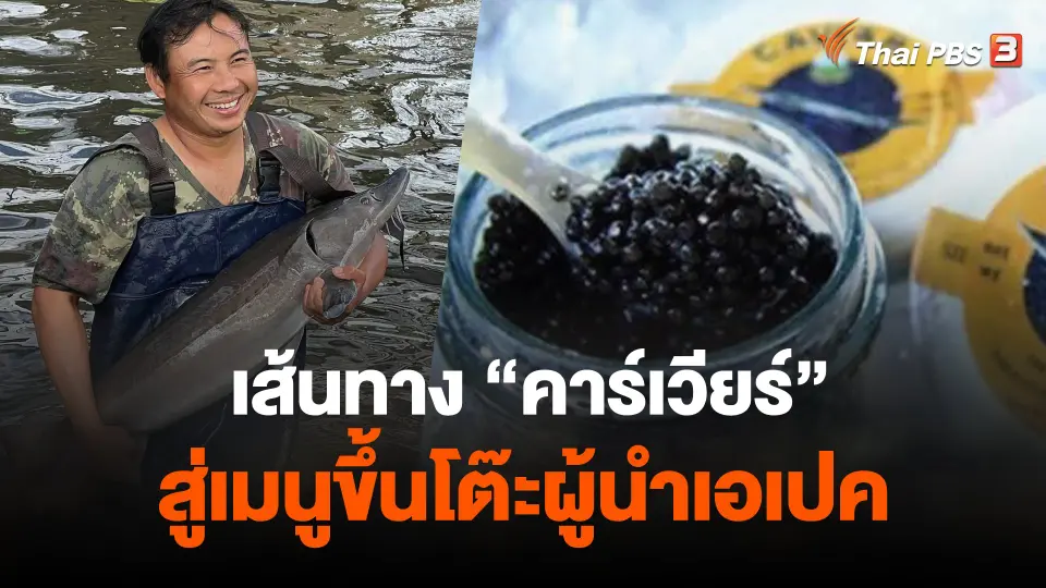 เส้นทาง "คาร์เวียร์"  สู่เมนูขึ้นโต๊ะผู้นำเอเปค