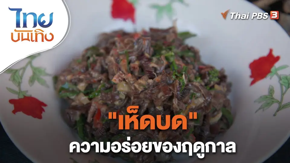 ​อิ่มมนต์รส : "เห็ดบด" ความอร่อยของฤดูกาล