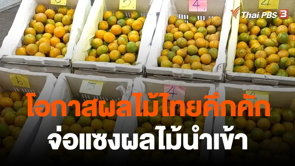 กินอยู่รู้รอบ : ตลาดค้าส่งผลไม้คึกคักรับปีใหม่ โอกาสผลไม้ไทยเติบโต