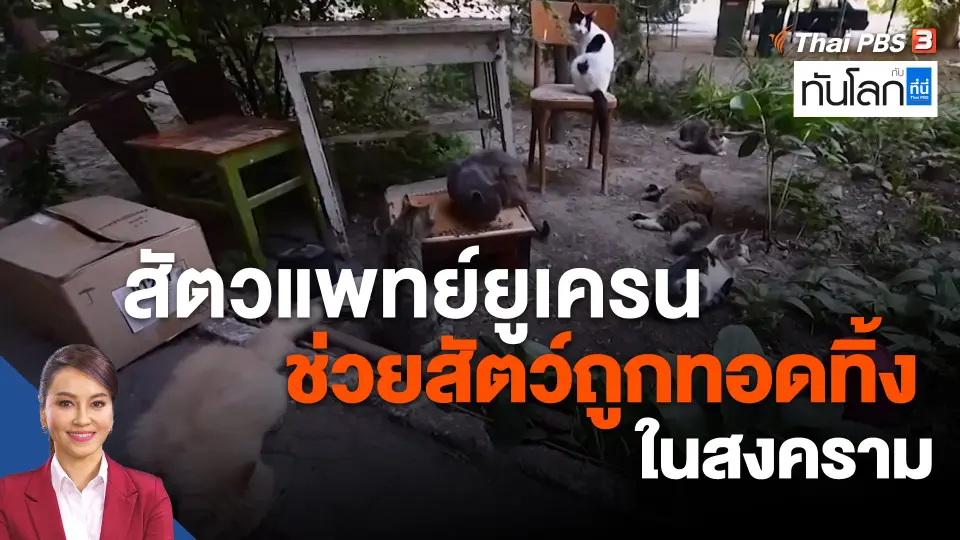 สัตวแพทย์ยูเครนช่วยสัตว์ถูกทอดทิ้งในสงคราม