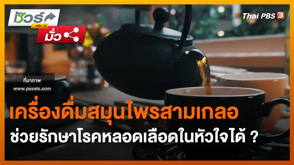​ชัวร์หรือมั่ว : เครื่องดื่มสมุนไพรสามเกลอ ช่วยรักษาโรคหลอดเลือดในหัวใจได้ ?