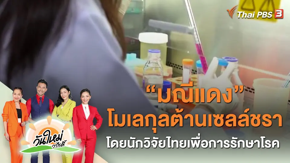 ​ประเด็นสังคม : "มณีแดง" โมเลกุลต้านเซลล์ชราโดยนักวิจัยไทยเพื่อการรักษาโรค