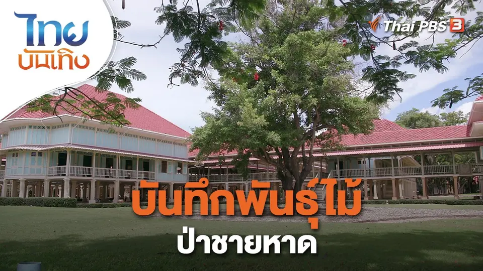 ​เรื่องนี้มีตำนาน : บันทึกพันธุ์ไม้ป่าชายหาด