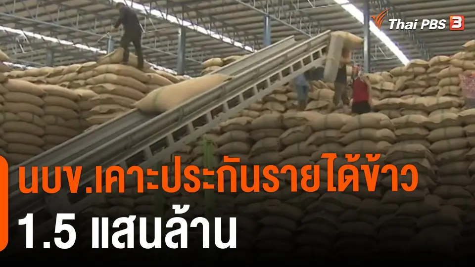 ​กินอยู่รู้รอบ : นบข.เคาะประกันรายได้ข้าว 1.5 แสนล้าน