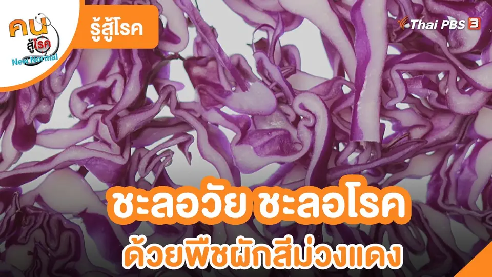 ​รู้สู้โรค : ชะลอวัย ชะลอโรค ด้วยพืชผักสีม่วงแดง