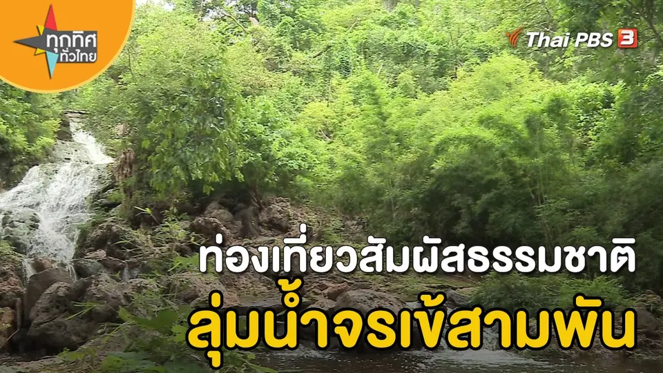​วิถีทั่วไทย : ท่องเที่ยวสัมผัสธรรมชาติลุ่มน้ำจรเข้สามพัน