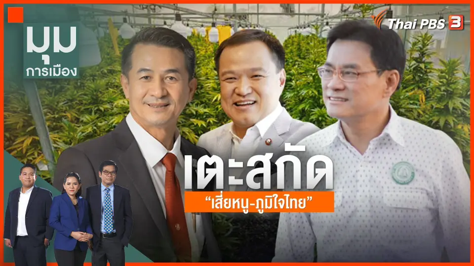 "ตีกลับกฎหมายกัญชา" เตะสกัด "เสี่ยหนู - ภูมิใจไทย"