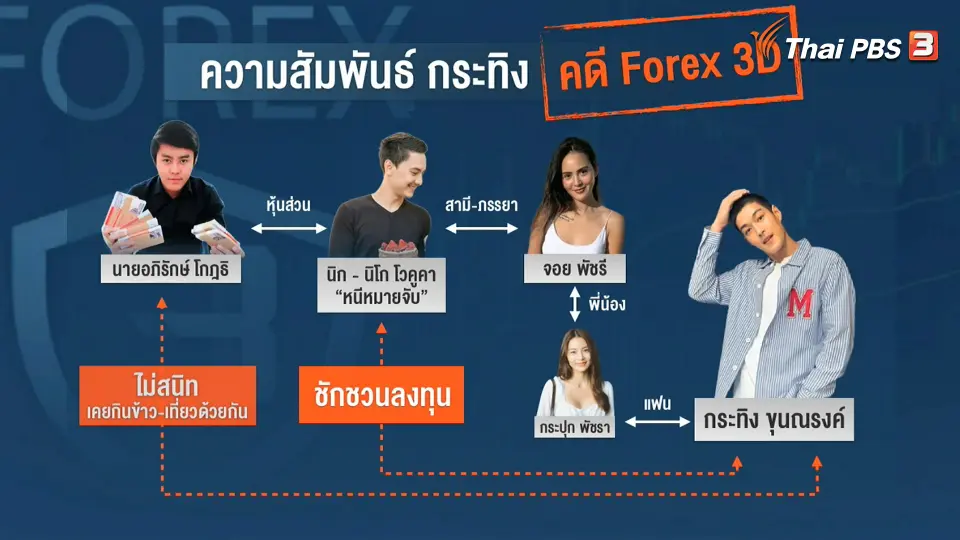 ผังความสัมพันธ์ กระทิง - Forex 3D