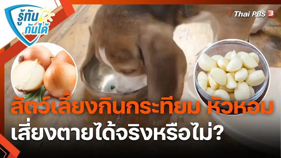 ​รู้ทันกันได้ : สัตว์เลี้ยงกินกระเทียมหัวหอม เสี่ยงตายได้จริงหรือไม่ ?