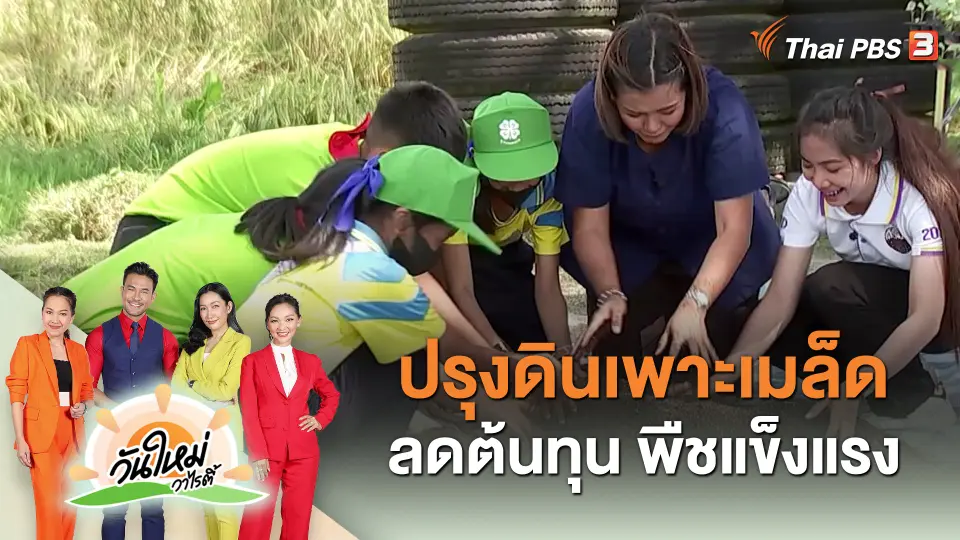​วันใหม่วาไรตี้ : ปรุงดินเพาะเมล็ด ลดต้นทุน พืชแข็งแรง