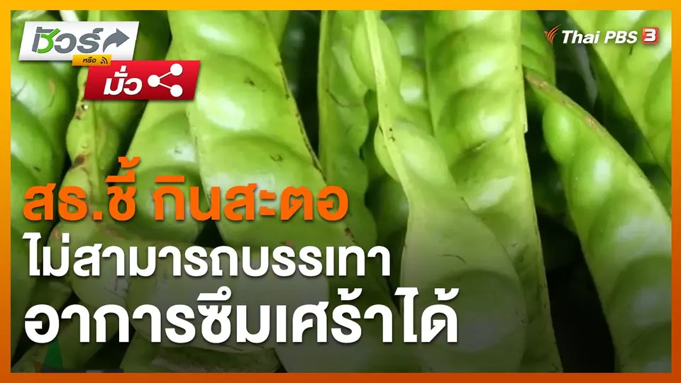​ชัวร์หรือมั่ว : สธ.ชี้ กินสะตอไม่สามารถบรรเทาอาการซึมเศร้าได้