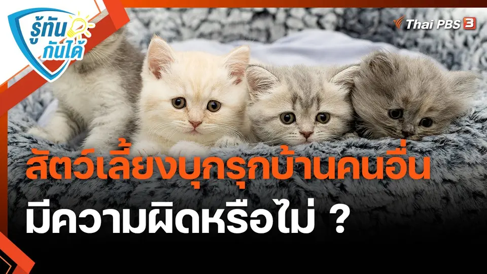 ​รู้ทันกันได้ : สัตว์เลี้ยงบุกรุกบ้านคนอื่น มีความผิดหรือไม่ ?