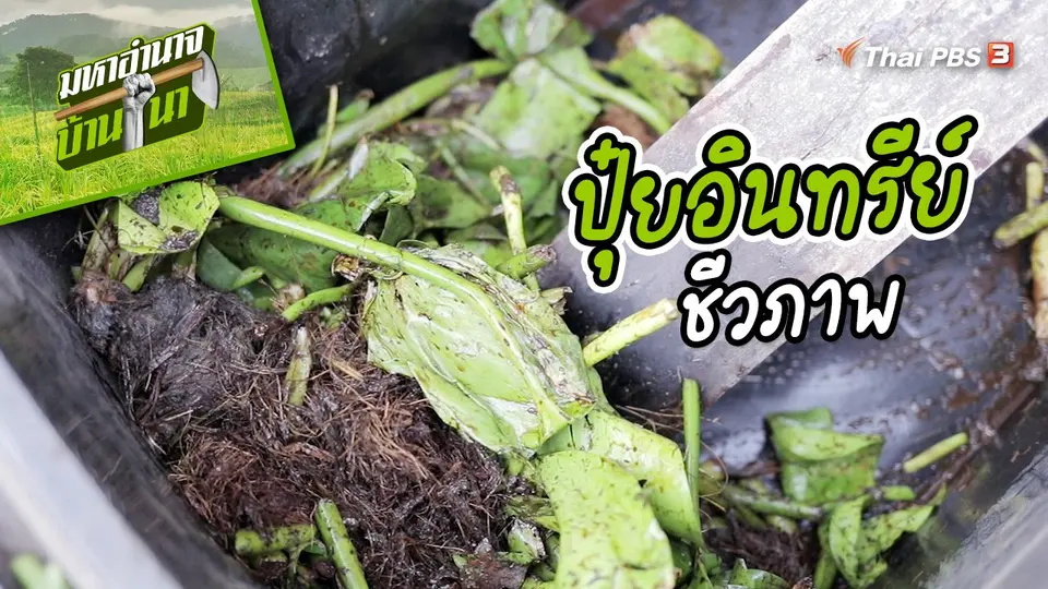 ​สูตรลับฉบับบ้านนา : ปุ๋ยอินทรีย์ชีวภาพ
