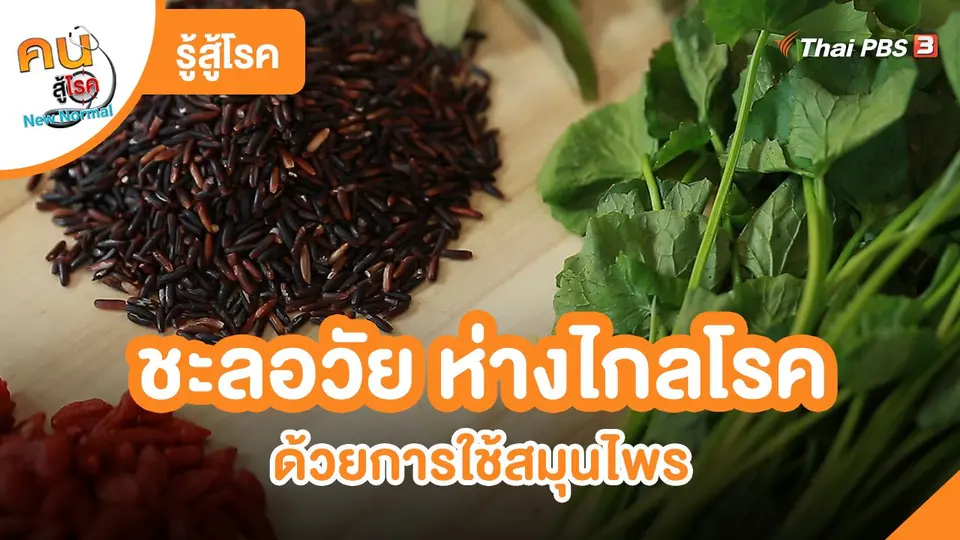 รู้สู้โรค : ชะลอวัย ห่างไกลโรค ด้วยการใช้สมุนไพร