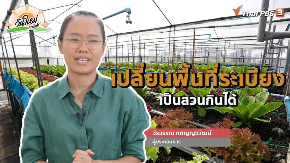 พอดีพอเพียง : เปลี่ยนพื้นที่ระเบียง เป็นสวนกินได้