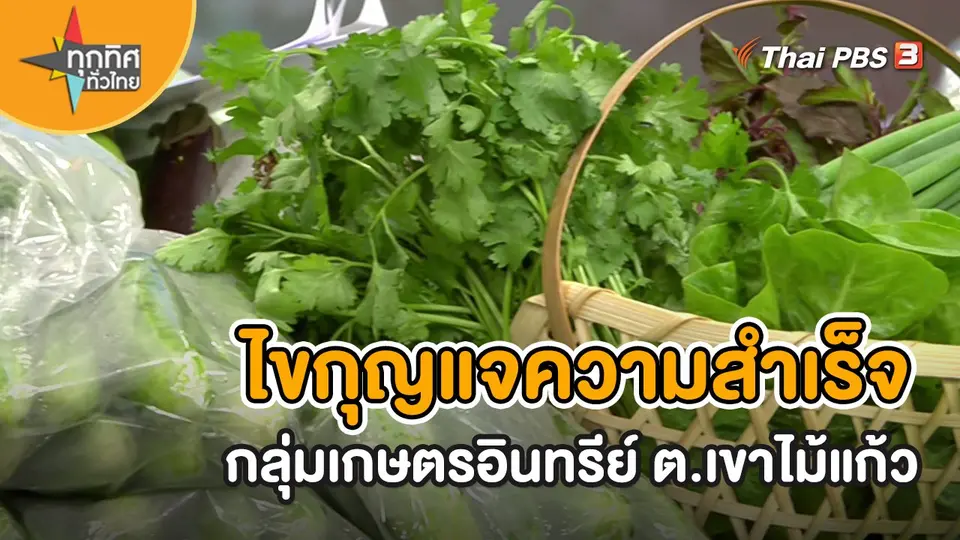 ​อาชีพทั่วไทย : ไขกุญแจความสำเร็จกลุ่มเกษตรอินทรีย์ ต.เขาไม้แก้ว
