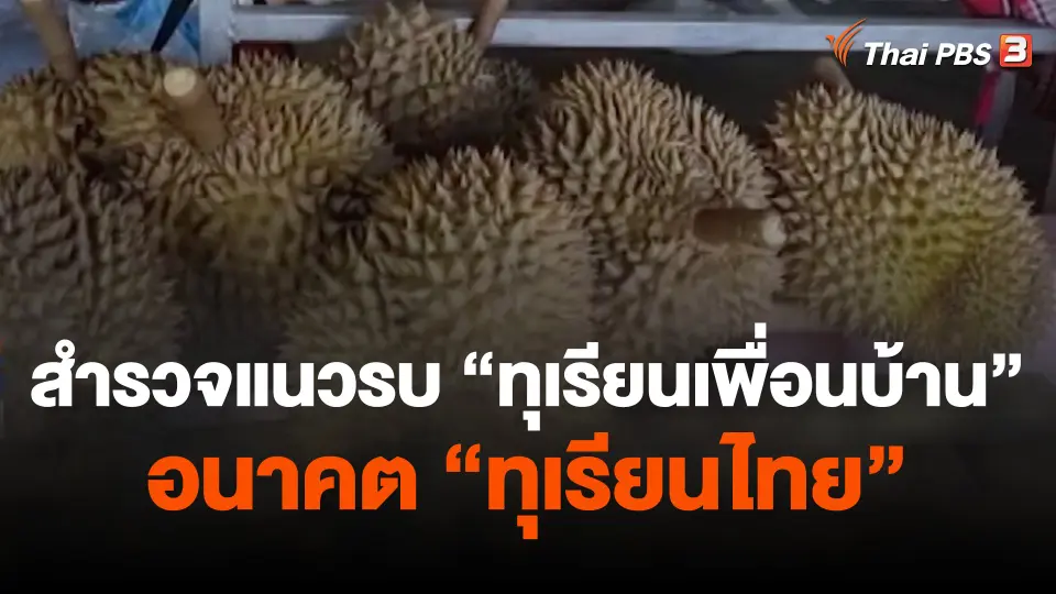 สำรวจแนวรบ "ทุเรียนเพื่อนบ้าน" อนาคต "ทุเรียนไทย"