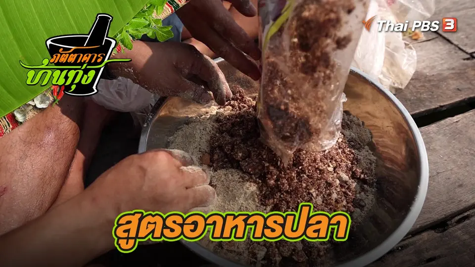 คลิปบ้านทุ่ง : สูตรอาหารปลา