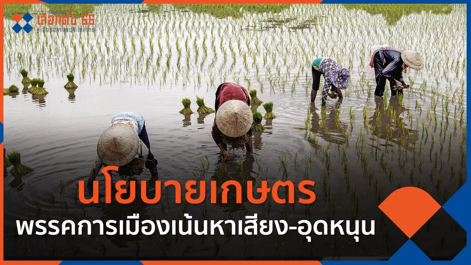 นโยบายเกษตรพรรคการเมืองเน้นหาเสียง-อุดหนุน