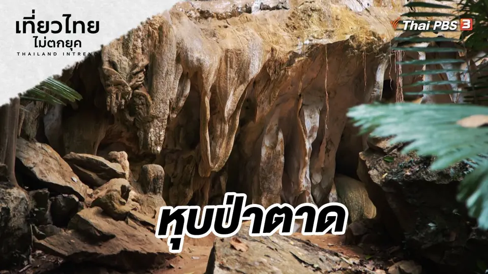 ​เที่ยวทั่วไทย : หุบป่าตาด