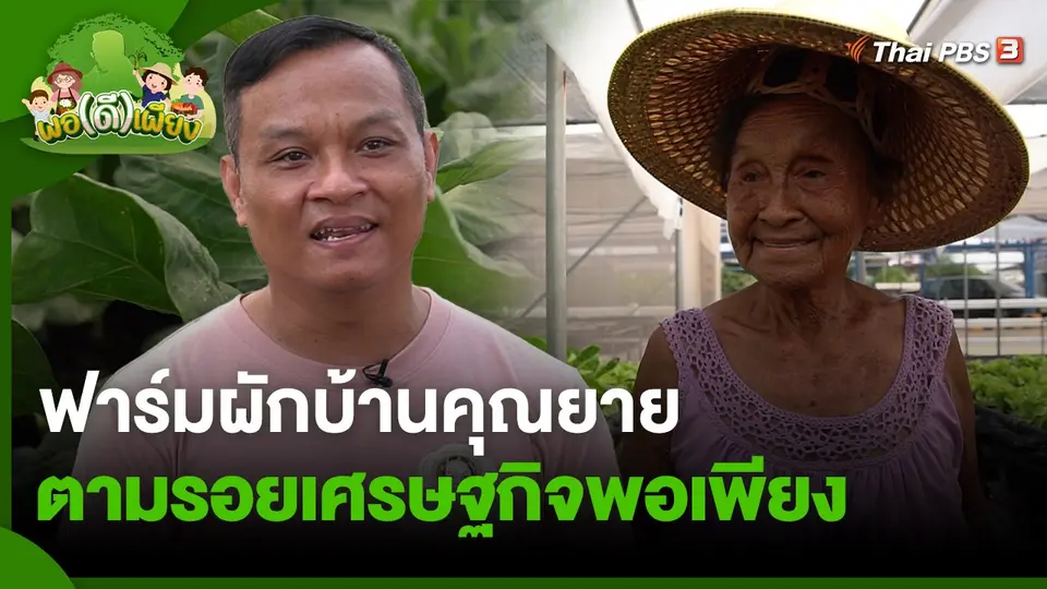 ฟาร์มผักบ้านคุณยาย ตามรอยเศรษฐกิจพอเพียง