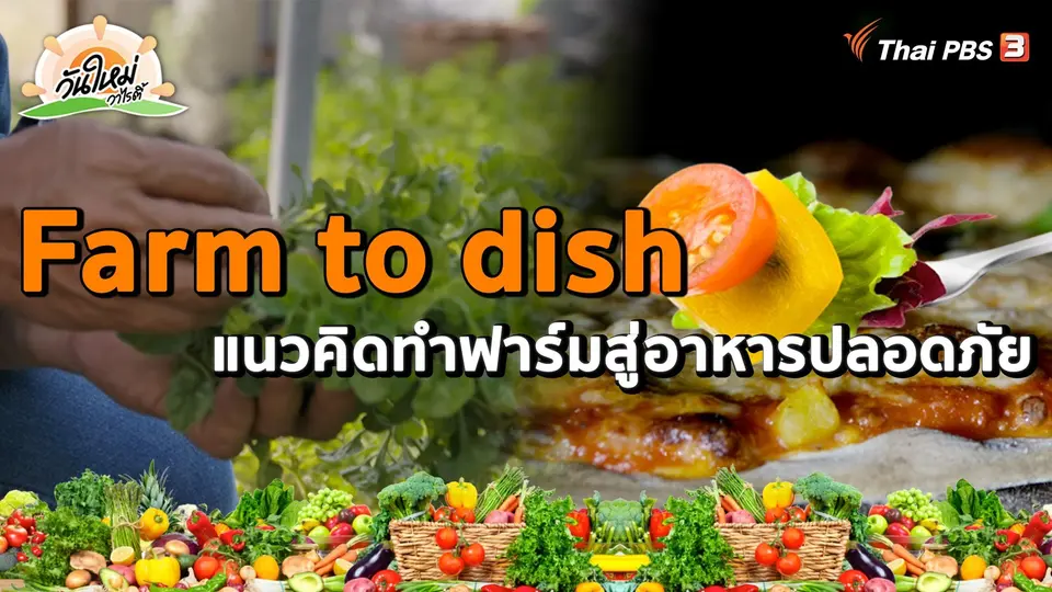 พอดีพอเพียง : Farm to dish แนวคิดทำฟาร์มสู่จานอาหารปลอดภัย