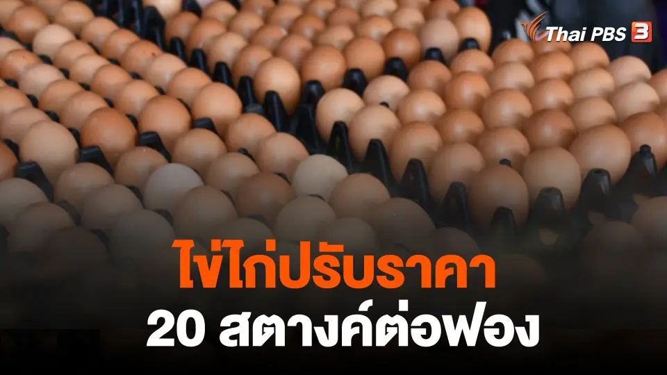 ไข่ไก่ปรับราคา 20 สตางค์ต่อฟอง