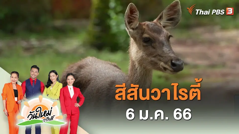 สีสันวาไรตี้ (6 ม.ค. 66)