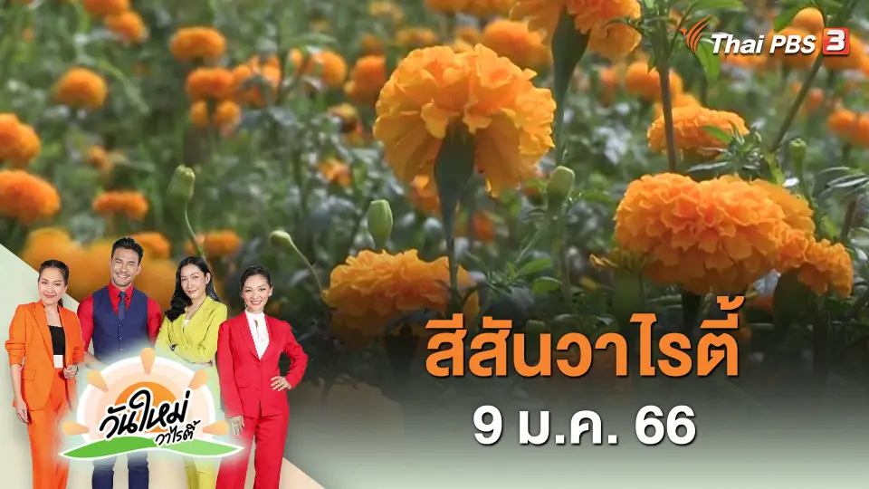 สีสันวาไรตี้ (9 ม.ค. 66)