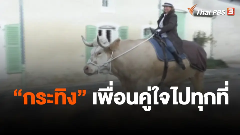 "กระทิง" เพื่อนคู่ใจไปทุกที่